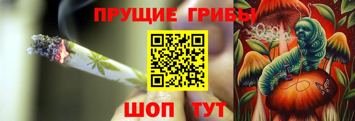 Пушкино  Галлюциногенные грибы прущие грибы  Псилоцибиновые грибы GOLDEN TEACHER  Вход с VPN 